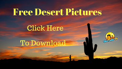 Free Pictures